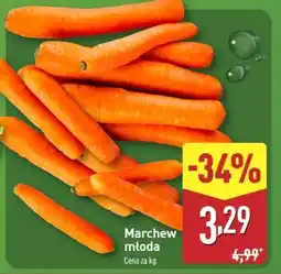 ALDI Marchew młoda oferta