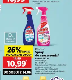 Lidl Meglio Spray do czyszczenia oferta