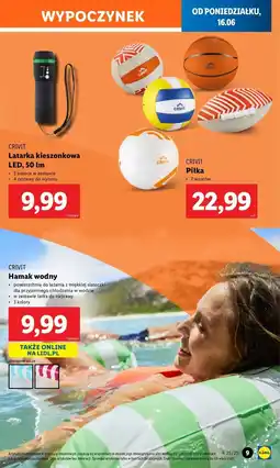 Lidl Latarka kieszonkowa Crivit oferta