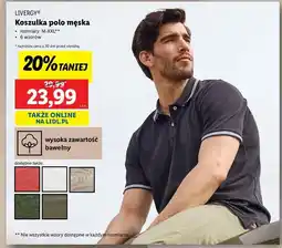 Lidl Koszulka polo męska m-xxl Livergy oferta