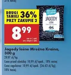 Biedronka Jagody leśne Mroźna Kraina oferta
