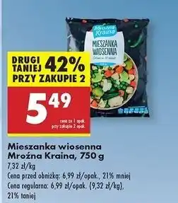 Biedronka Mieszanka wiosenna Mroźna Kraina oferta