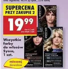 Biedronka Farba do włosów 3.1 Syoss Permanent oferta