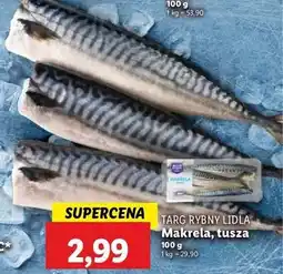 Lidl Makrela - tusza Targ Rybny Lidla oferta