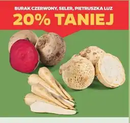 Netto Pietruszka oferta