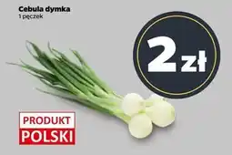 Netto Cebula dymka polska oferta
