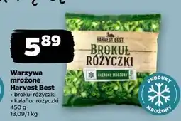 Netto Kalafior różyczki Harvest Best oferta