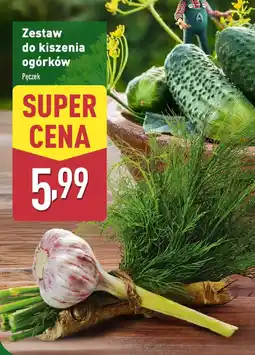 ALDI Zestaw do kiszenia ogórków oferta