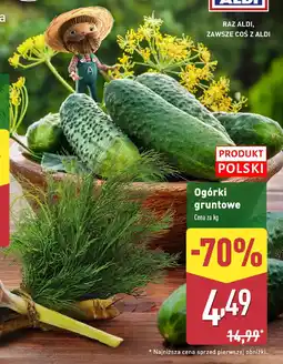 ALDI Ogórki gruntowe oferta