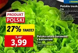 Lidl Sałata batawska oferta