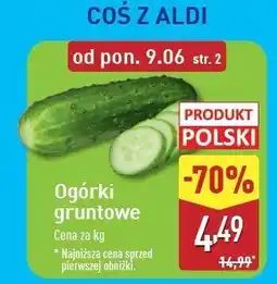 ALDI Ogórek gruntowy polska oferta