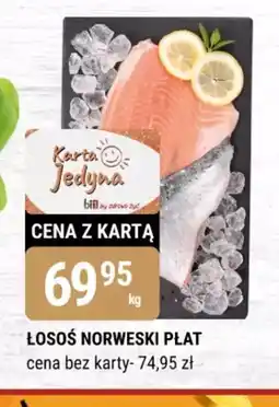 bi1 Losoś norweski płat oferta