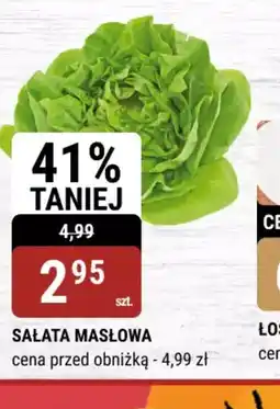 bi1 Sałata masłowa oferta