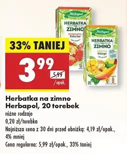 Biedronka Herbatka mięta-mango Herbapol herbatka na zimno oferta