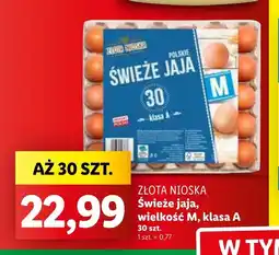 Lidl Jaja Złota nioska oferta