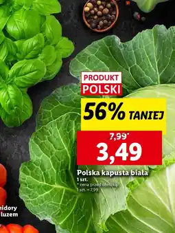 Lidl Kapusta biała Polski oferta