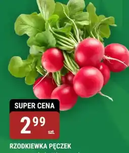 Rzodkiewka pęczek