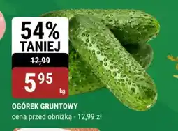 bi1 Ogórek gruntowy oferta