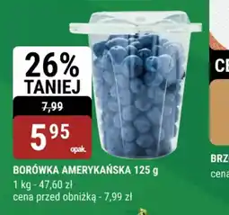 bi1 Borówka amerykańska oferta