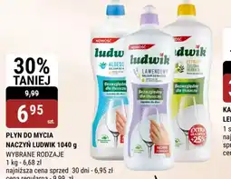 bi1 Płyn do mycia naczyń Ludwik oferta