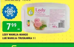 bi1 Lody wanilia-mango lub wanilia-truskawka oferta