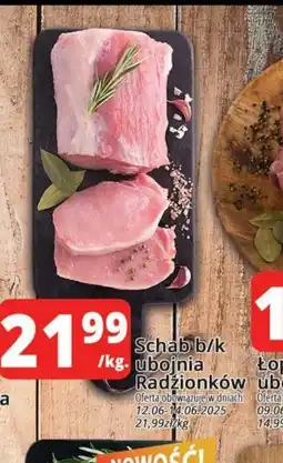Szyneczka Schab b/k oferta