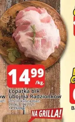 Szyneczka Kopatka b/k oferta