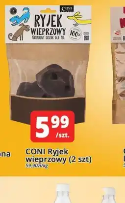Szyneczka CONI Ryjek wieprzowy oferta