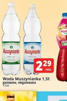 Szyneczka Woda Muszynianka oferta