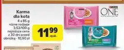Carrefour Karma dla kota junior z kurczakiem i marchewką Purina One oferta