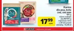 Carrefour Karma dla kota sterilcat wołowina i pszenica Purina One oferta