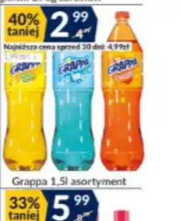 Sużyw Grappa oferta