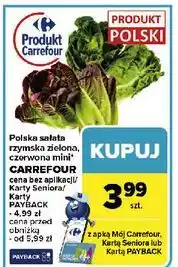 Carrefour Sałata rzymska mini Carrefour Targ Świeżości oferta