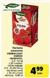 Carrefour Herbata malina Herbapol Herbaciany Ogród oferta