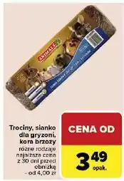 Carrefour Kora brzozy oferta