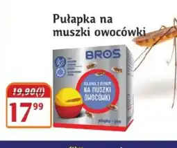 Hale Banacha Pułapka na muszki owocówki Bros oferta