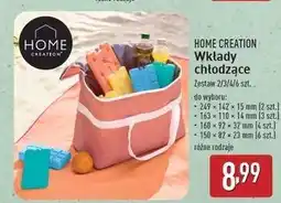 ALDI Wkłady chłodzące do lodówek turystycznych 400 g Home Creation oferta