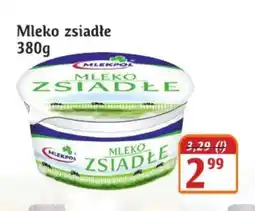Hale Banacha Mleko zsiadłe Mlekpol oferta