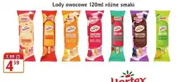 Hale Banacha Lody owocowe Hortex oferta