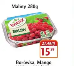 Hale Banacha Maliny Hortex oferta