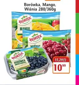 Hale Banacha Borówka, Mango, Wiśnia Hortex oferta