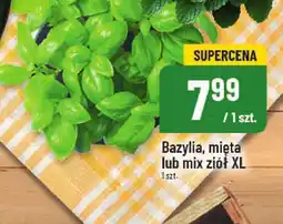 Polomarket Bazylia, mięta lub mix ziół XL 1szt. POLOmarket oferta