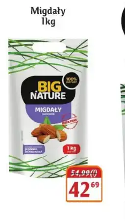 Hale Banacha Migdały Big Nature oferta