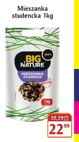 Hale Banacha Mieszanka studencka Big Nature oferta