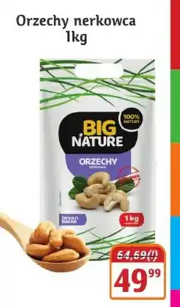 Hale Banacha Orzechy nerkowca Big Nature oferta