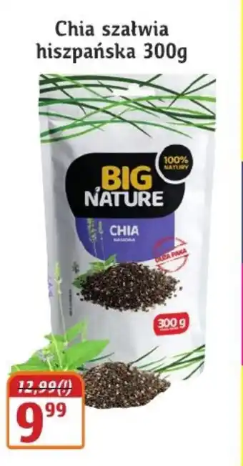 Hale Banacha Chia szałwia hiszpańska Big Nature oferta