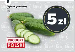 Netto Ogórek Polski oferta