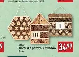 ALDI Hotel dla owadów Belavi oferta