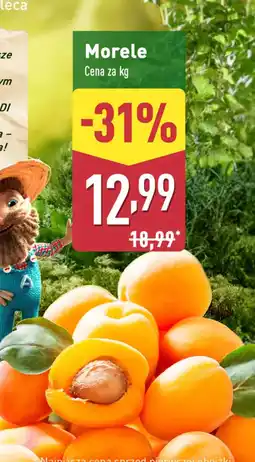 ALDI Morele Annas oferta