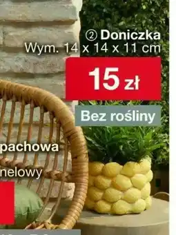 Woolworth Doniczka oferta